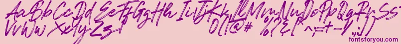 Romeo Fans Font – Purple Fonts on Pink Background