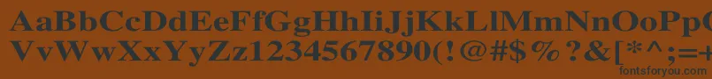 TimesBoldWd Font – Black Fonts on Brown Background