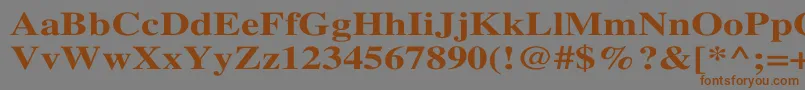 TimesBoldWd Font – Brown Fonts on Gray Background