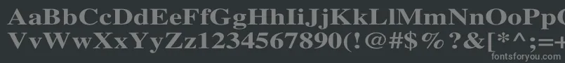 TimesBoldWd Font – Gray Fonts on Black Background