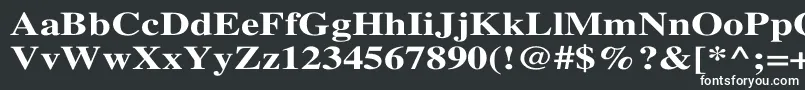 フォントTimesBoldWd – 黒い背景に白い文字