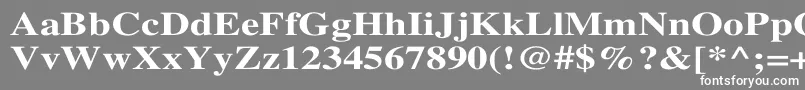 TimesBoldWd Font – White Fonts on Gray Background