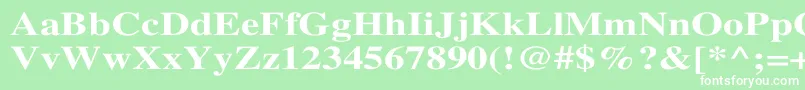 TimesBoldWd Font – White Fonts on Green Background