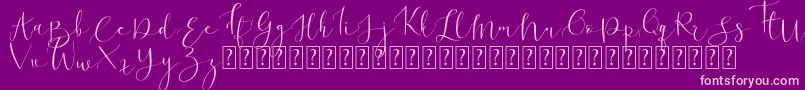 Ronhilli Free for personal use Font – Pink Fonts on Purple Background