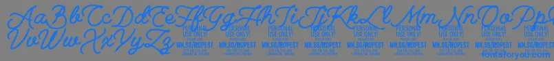 RopestBlack PERSONAL USE ONLY Font – Blue Fonts on Gray Background