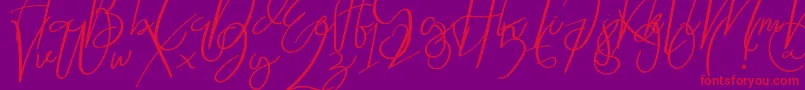 Rosalin-Schriftart – Rote Schriften auf violettem Hintergrund