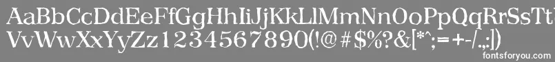 PriamosantiqueRegular Font – White Fonts on Gray Background