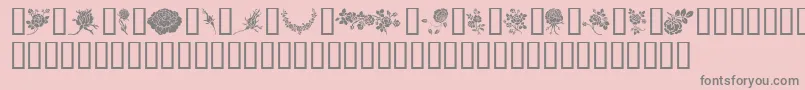 フォントRosegarden – ピンクの背景に灰色の文字