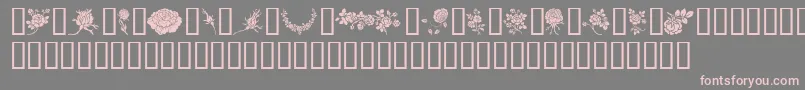 フォントRosegarden – 灰色の背景にピンクのフォント
