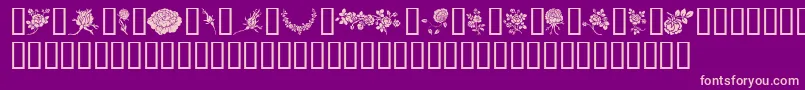 Rosegarden Font – Pink Fonts on Purple Background