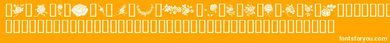 Rosegarden-Schriftart – Weiße Schriften auf orangefarbenem Hintergrund