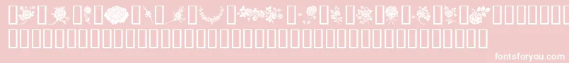 Rosegarden-Schriftart – Weiße Schriften auf rosa Hintergrund