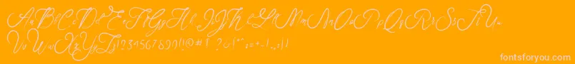 Rosella Font – Pink Fonts on Orange Background