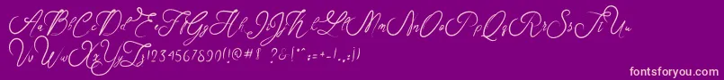 Rosella Font – Pink Fonts on Purple Background