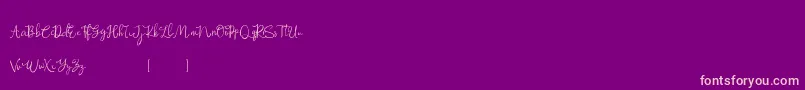 Rosemary Demo Font – Pink Fonts on Purple Background