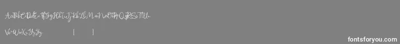 フォントRosemary Demo – 灰色の背景に白い文字
