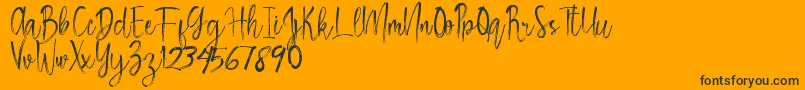 Rosemary Font – Black Fonts on Orange Background