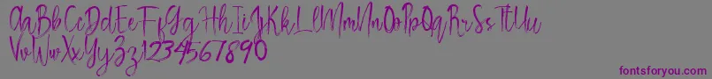 Rosemary Font – Purple Fonts on Gray Background
