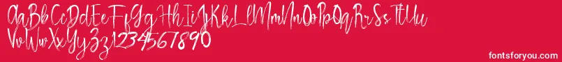 Rosemary Font – White Fonts on Red Background