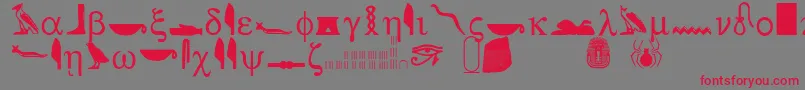 ROSETTA STONE Font – Red Fonts on Gray Background