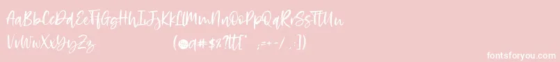 RosettaBlack Font – White Fonts on Pink Background