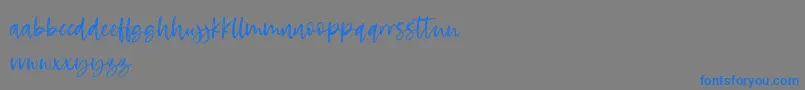 RosettaColor Font – Blue Fonts on Gray Background
