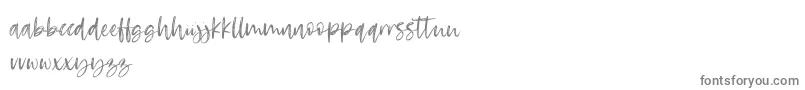 RosettaColor Font – Gray Fonts