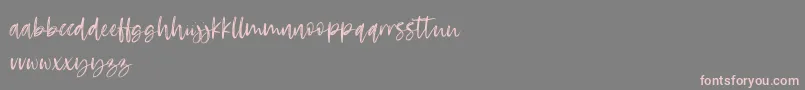 RosettaColor Font – Pink Fonts on Gray Background