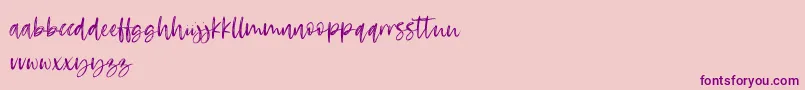 RosettaColor Font – Purple Fonts on Pink Background