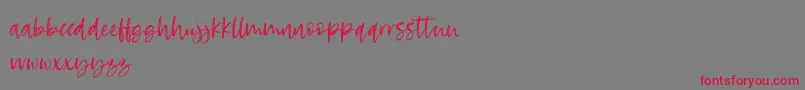 RosettaColor-Schriftart – Rote Schriften auf grauem Hintergrund