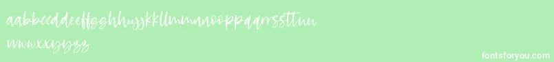 RosettaColor Font – White Fonts on Green Background