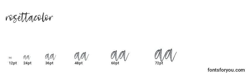 RosettaColor Font Sizes