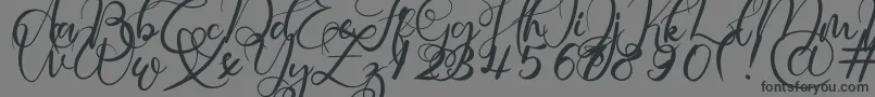 Rosette-Schriftart – Schwarze Schriften auf grauem Hintergrund