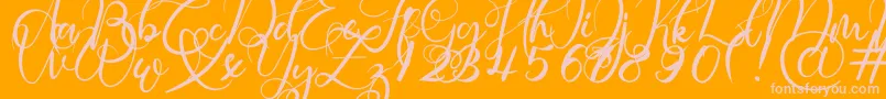 Rosette Font – Pink Fonts on Orange Background