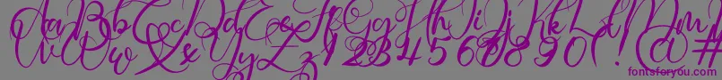 Rosette-Schriftart – Violette Schriften auf grauem Hintergrund
