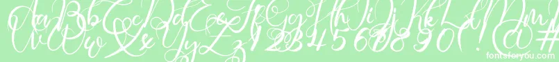 Rosette Font – White Fonts on Green Background