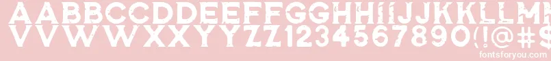 RosewellBlackRGH Font – White Fonts on Pink Background