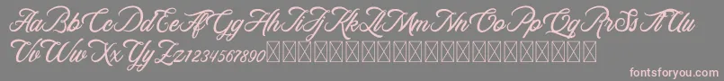RosewellScriptDemo Font – Pink Fonts on Gray Background