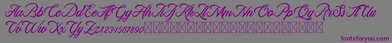 RosewellScriptDemo Font – Purple Fonts on Gray Background
