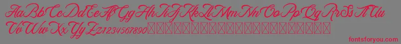 RosewellScriptDemo Font – Red Fonts on Gray Background