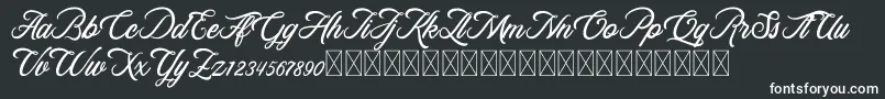 RosewellScriptDemo Font – White Fonts on Black Background