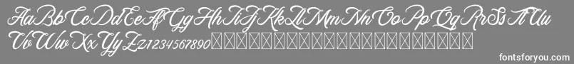 RosewellScriptDemo Font – White Fonts on Gray Background