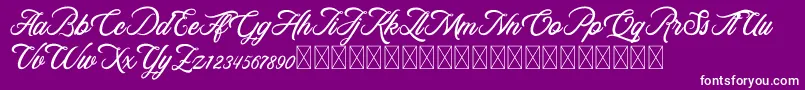 RosewellScriptDemo Font – White Fonts on Purple Background