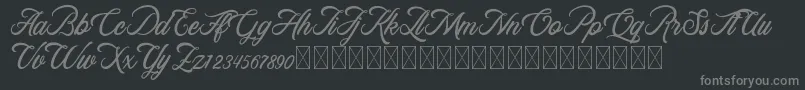 RosewellScriptDemo Font – Gray Fonts on Black Background