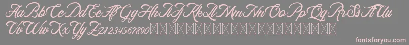 More about RosewellScriptDemo Font RosewellScriptDemo Font – Pink Fonts on Gray Background