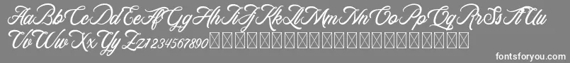 RosewellScriptDemo Font – White Fonts on Gray Background