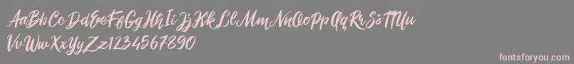 Roshida Valentines Font – Pink Fonts on Gray Background