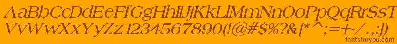BroadsheetLdoBoldItalic Font – Brown Fonts on Orange Background