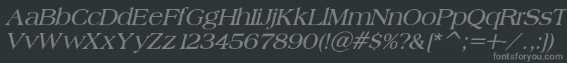 BroadsheetLdoBoldItalic Font – Gray Fonts on Black Background