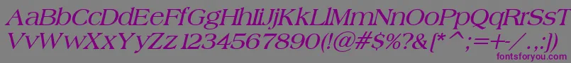 BroadsheetLdoBoldItalic Font – Purple Fonts on Gray Background